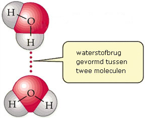 Vereenvoudigde voorstelling van de vorming van waterstofbruggen.